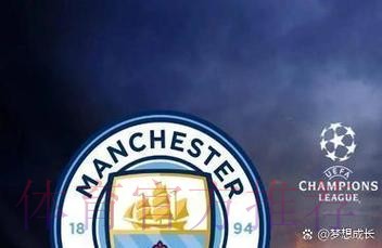 琼阿梅尼：没见过小蜘蛛这情况 黄牌停赛很憋屈